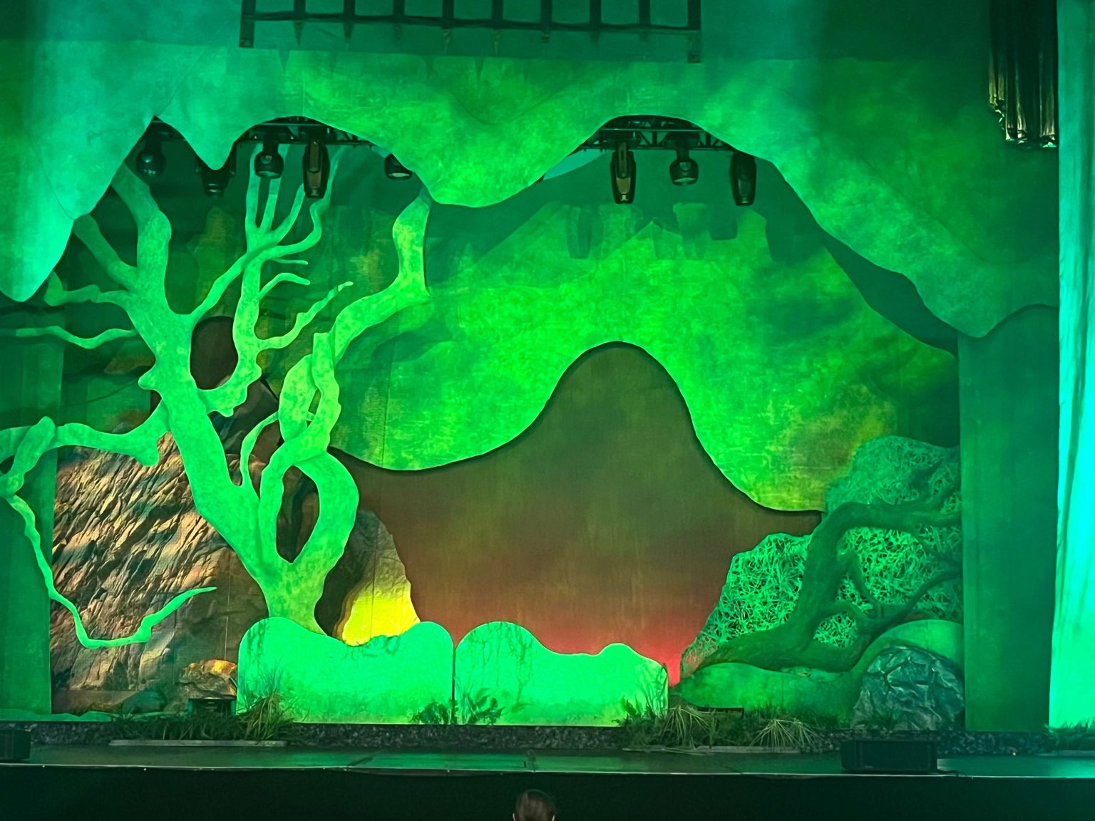 People with special needs at the iStrive Community's "Shrek the Musical" event.