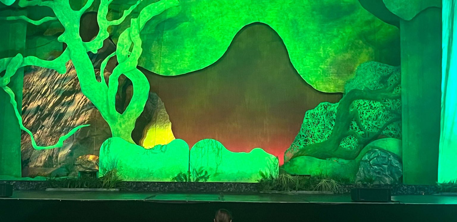 People with special needs at the iStrive Community's "Shrek the Musical" event.